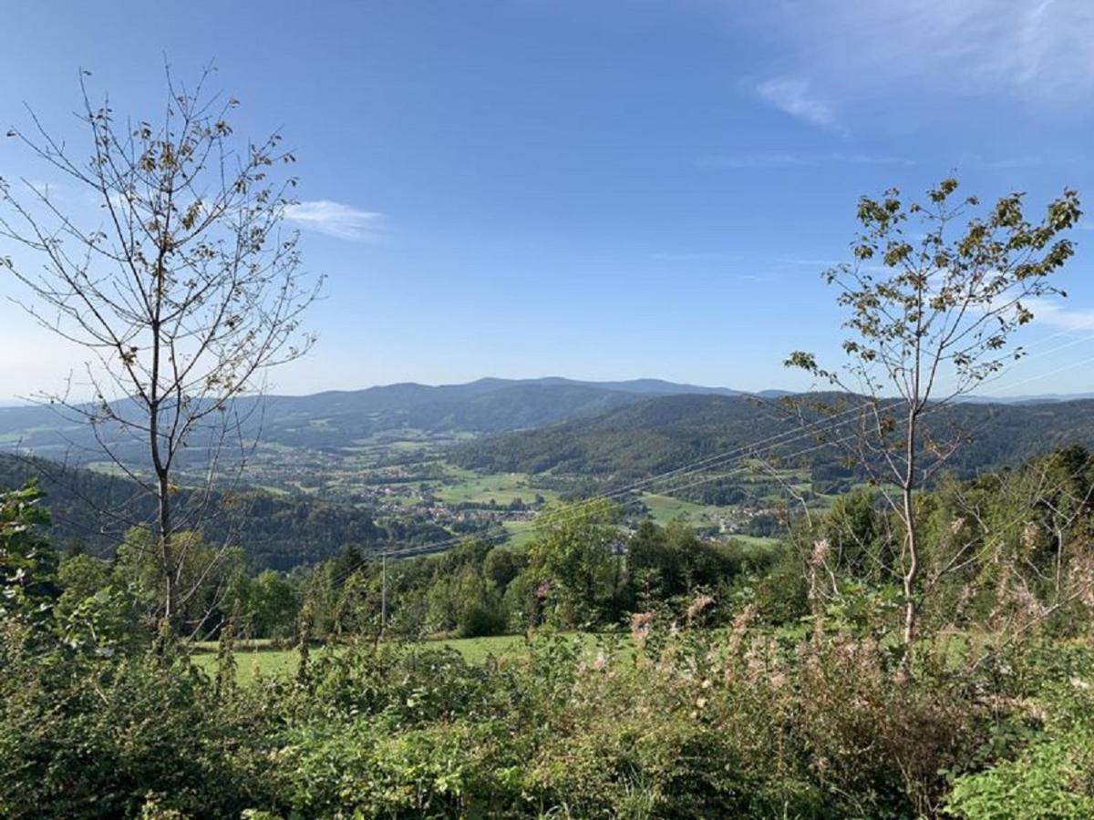 Ferienland Sonnenwald Fewo 46 Und Studio 50 In Schoefweg Bayerischer Wald Exterior foto