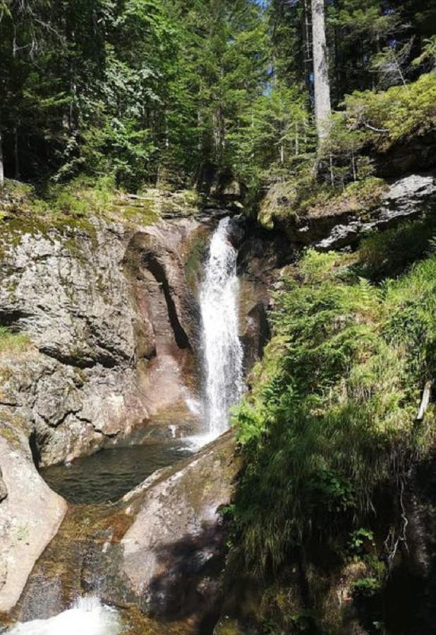 Ferienland Sonnenwald Fewo 46 Und Studio 50 In Schoefweg Bayerischer Wald Exterior foto