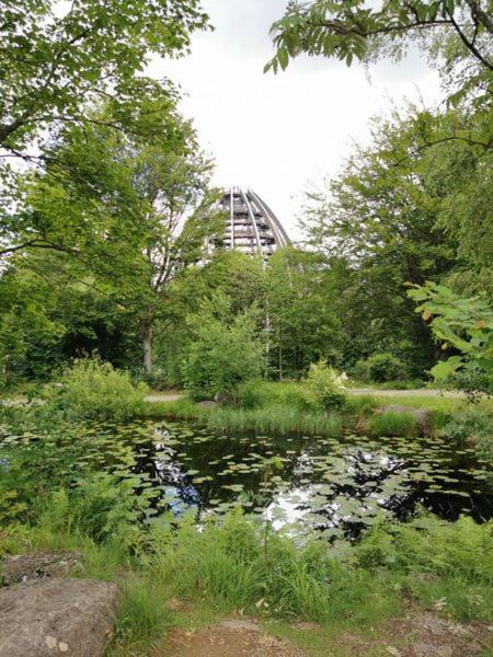 Ferienland Sonnenwald Fewo 46 Und Studio 50 In Schoefweg Bayerischer Wald Exterior foto