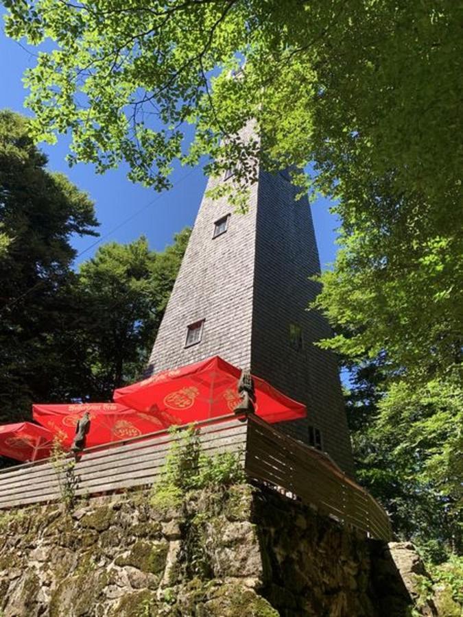 Ferienland Sonnenwald Fewo 46 Und Studio 50 In Schoefweg Bayerischer Wald Exterior foto