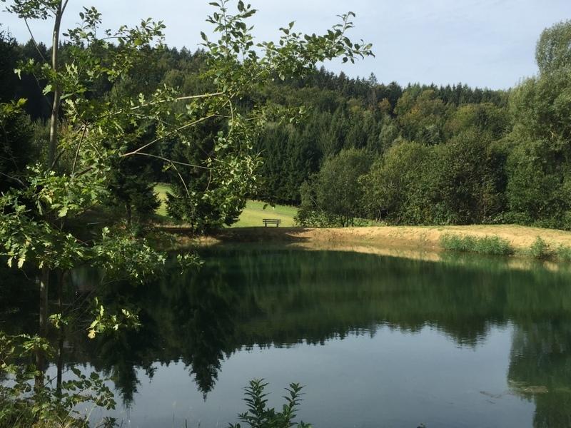 Ferienland Sonnenwald Fewo 46 Und Studio 50 In Schoefweg Bayerischer Wald Exterior foto