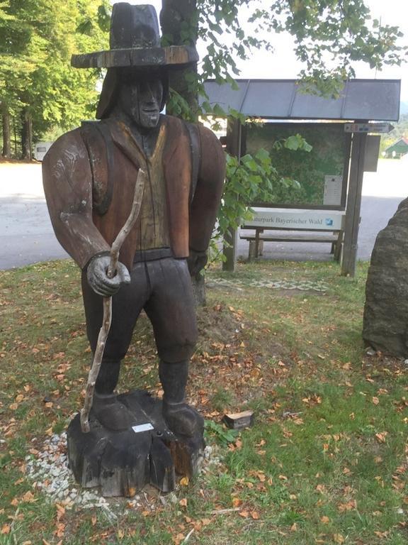 Ferienland Sonnenwald Fewo 46 Und Studio 50 In Schoefweg Bayerischer Wald Cameră foto